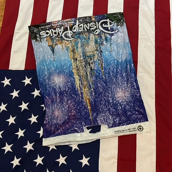 Taylor Swift and Katy Perry merch bags & Disneyland bag, & Cowboy Carter handtag - Picture 14 of 16